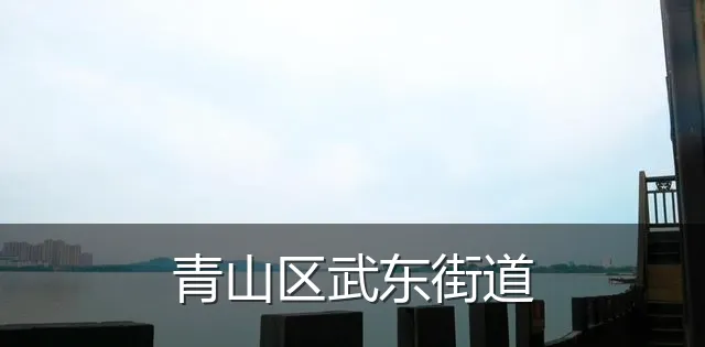 青山区武东街道